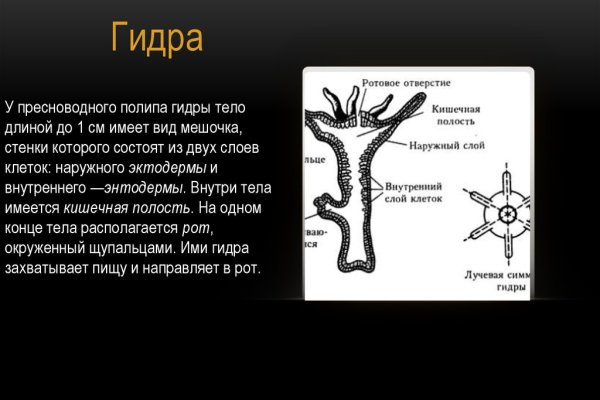 Почему не работает кракен в тор